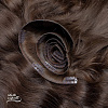 Buy ULTRA THIN CLIP IN INVISIBLE in Moscow